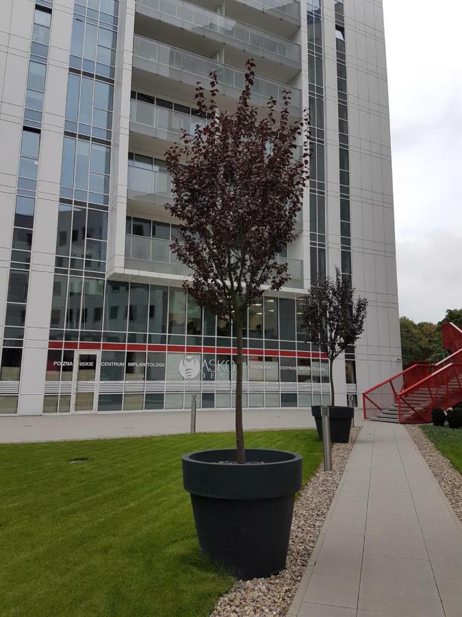 Apartament Towarowa 37 Poznan Luaran gambar