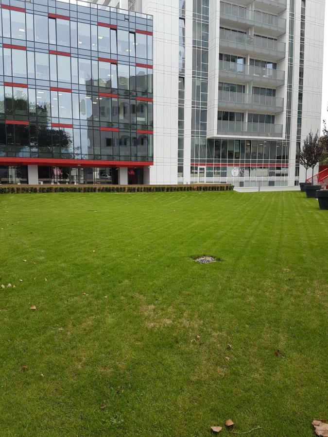 Apartament Towarowa 37 Poznan Luaran gambar